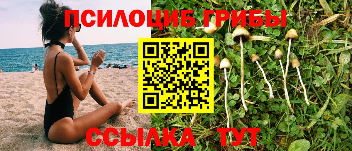 Галлюциногенные грибы мицелий Сызрань